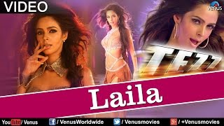 Laila Full Song Official Tezz [upl. by Aroled]