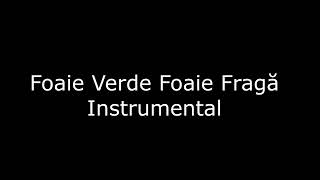 Foaie Verde Foaie Fraga  Instrumental [upl. by Ivor]