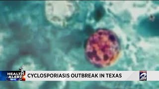 Cyclosporiasis outbreak in Texas [upl. by Ivo575]