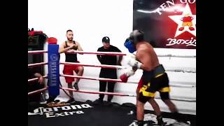 FOUSEYTUBE KNOCKS OUT ALEX WASSABI [upl. by Walrath618]