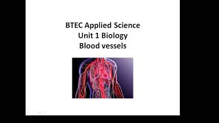 BTEC Applied Science Unit 1 Biology Blood Vessels [upl. by Annayram187]