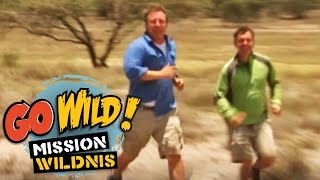 Go Wild Mission Wildnis  Der feuerspeiende Riese Trailer  Folge 14 [upl. by Edecrem]