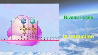 La traduction Lycée [upl. by Adnaluy623]