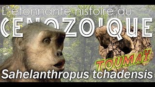 Sahelanthropus tchadensis dit Toumaï  Paléontologie  Simplex Paléo [upl. by Renita]