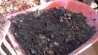 Humus soil from fall leaves [upl. by Ainit]