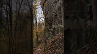 Autumn Magic Behind the Scenes of a Perfect Fall Photoshoot [upl. by Camroc51]