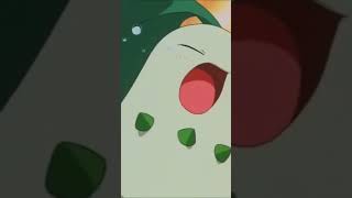 Ashs Chikorita Evolves into Bayleef [upl. by Eehc]