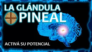 LA GLÁNDULA PINEAL  Activala y desatá todo tu potencial ⚡ [upl. by Aitel379]