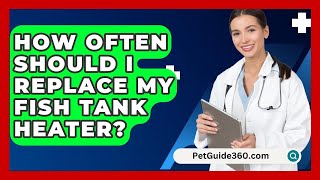 How Often Should I Replace My Fish Tank Heater  PetGuide360com [upl. by Rachel]