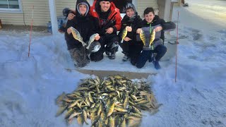 Ice Fishing Lake Simcoe Jumbo Perch 2023 [upl. by Pine]