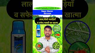 👌मकड़ियों व सफेद मक्खी की दवा  Bayer Oberon Insecticide insecticide pestcontrol shorts bayer [upl. by Bedelia]