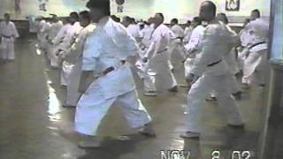 Kata Piñan Nidan Masatoshi Miyazato Sensei 9º DanMPG [upl. by Fanchan]