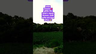 আল্লাহ যে কত মহান। সৃষ্টি জগৎ তার  Allah Je Koto Mohan  Best Islamic Song 2024  Kibria Khan [upl. by Ahsikel]