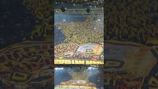 Borussia Dortmund vs FC Internazionale Milano Choreography 05112019 Signal Iduna Park [upl. by Nalorac]