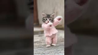 빵빵냥이 챌린지🐱 빵빵냥이 dancingcat dancechallenge cute ai fluffy [upl. by Pernas829]