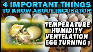 INCUBATOR TUTORIAL TEMPERATURE HUMIDITY VENTILATION EGG TURNING [upl. by Schonthal]