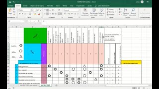 COMO ELABORAR MATRIZ QFD  PLANTILLA EXCEL Paso a paso [upl. by Ardnusal]