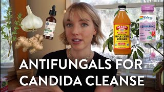 How to Treat Candida with Food [upl. by Iadrahc]