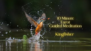 10 minute  Guided Tarot Meditation  Kingfisher [upl. by Kleeman]