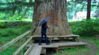 Lael Forest Garden and Ardessie Falls 25th July 2017 [upl. by Slinkman282]