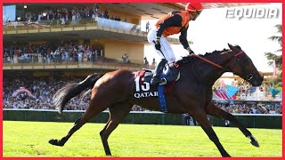 ACE IMPACT SADJUGE LE QATAR PRIX DE LARC DE TRIOMPHE 2023 [upl. by Aeriel]