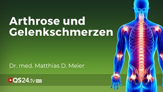 Autonomes Nervensystem Verursacher von Schmerzen aber auch Heiler  Dr med M D Meier  QS24 [upl. by Arjun]