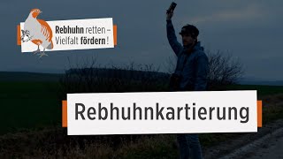 Rebhühner kartieren  leicht gemacht [upl. by Larrej]