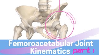 Hip Joint Biomechanics Femoroacetabular Joint Kinematics Open Kinematic Chain [upl. by Gilson]