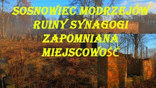 Sosnowiec Modrzejów Ruiny Synagogi Zapomniana Miejscowość [upl. by Kirven]