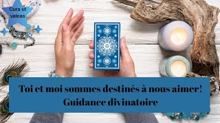 Toi et moi sommes destinés à nous aimer MAINTENANT  Guidancesentimentale [upl. by Hayikaz422]