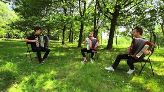 Yann Tiersen  Jy Suis Jamais Alle  Crazy Accordion Trio cover [upl. by Naot]