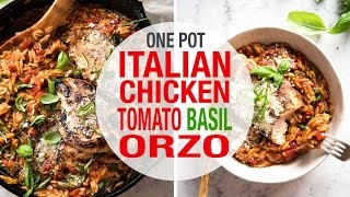 One Pot Italian Chicken amp Risoni  Orzo [upl. by Notnef]