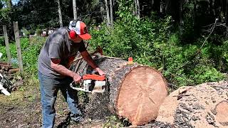 The Day the Earth Stood STIHL Part 3 Vintage Stihl 075 and 051 Chainsaw Cutting [upl. by Sylvia]