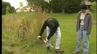 StormwaterPA Riparian Buffer Restoration [upl. by Sturdivant386]