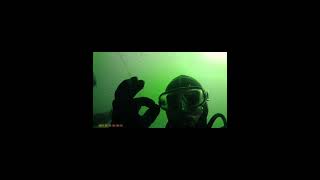 North Ayrshire divers at the no take zone [upl. by Einatirb]