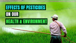 Devastating Effects of Pesticides on Our Health and Environment [upl. by Cheri]