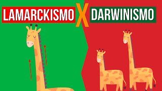 EVOLUÇÃO Lamarckismo e Darwinismo  RESUMO DE BIOLOGIA PARA O ENEM [upl. by Gabbey]