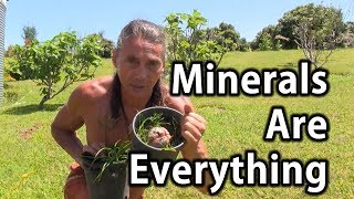 Minerals Are Everything  Tip Of The Day  Dr Robert Cassar [upl. by Lilybelle]