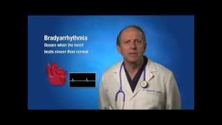 Bradycardia Informational Video  30mov [upl. by Cressida]