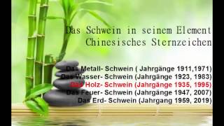 Chinesisches Sternzeichen das Schwein und seine Elemente Chinesisches Horoskop [upl. by Acinoreb]