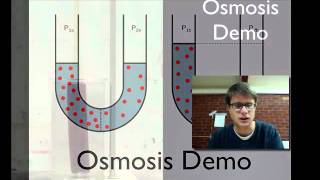 Osmosis Demo [upl. by Itirp479]