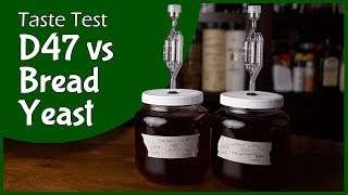 Instant Yeast vs Active Dry Yeast  How to Activate Yeast [upl. by Cassy]