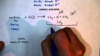 Amine Reactions AcidBase [upl. by Shipp]