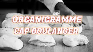 Organigramme CAP boulanger [upl. by Aerdno]