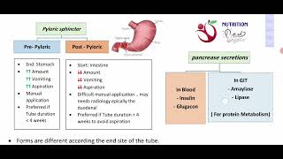 💡 Enteral Nutrition Summary [upl. by Dunseath894]