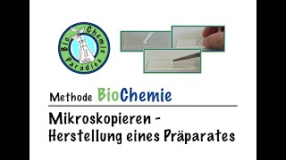 Methode BioChemie – Mikroskopie – Herstellung eines Präparates am Beispiel der Zwiebel [upl. by Berner]