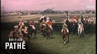 Grand National Long Version 1962 [upl. by Reginald626]