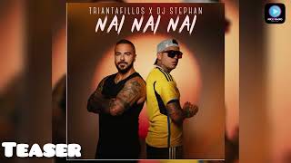 Triantafillos X Dj Stephan  NAI NAI NAI  Teaser 2024 [upl. by Albertina]