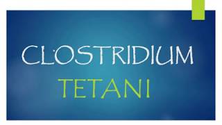 Clostridium tetani microbiology for dental students [upl. by Leatrice]