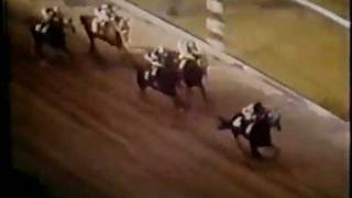 Secretariat  Preakness Stakes 1973 [upl. by Eatnoid]